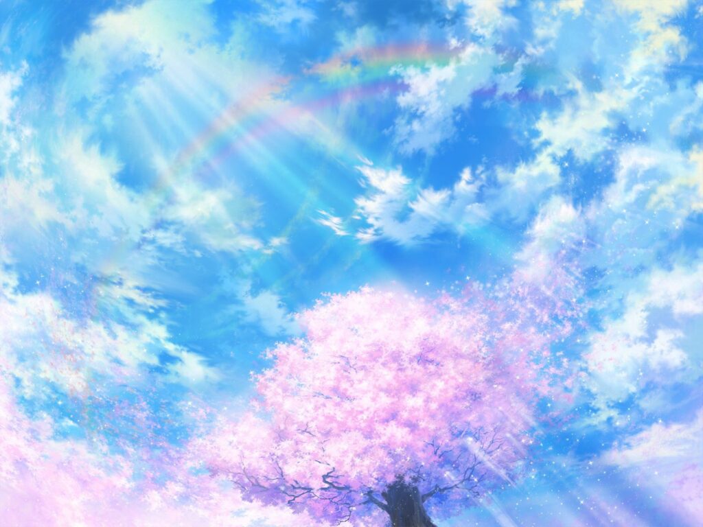 Stunning Cherry Blossom Wallpaper with Blue Sky & Rainbow Background