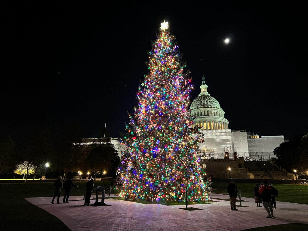 Magical Christmas Tree Wallpaper: Festive Night Sky Background