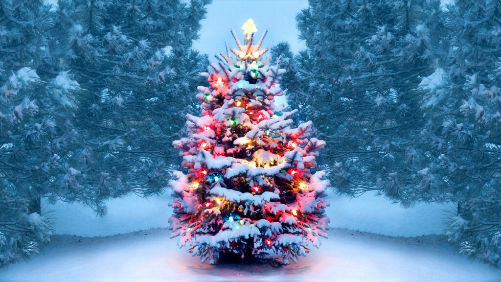 Festive Christmas Tree in Snowy Pine Landscape: A Winter Wonderland Wallpaper