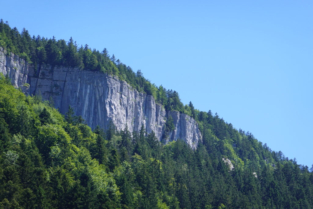 Stunning natural cliff with sheer rocks above dense green forest under clear blue sky wallpaper