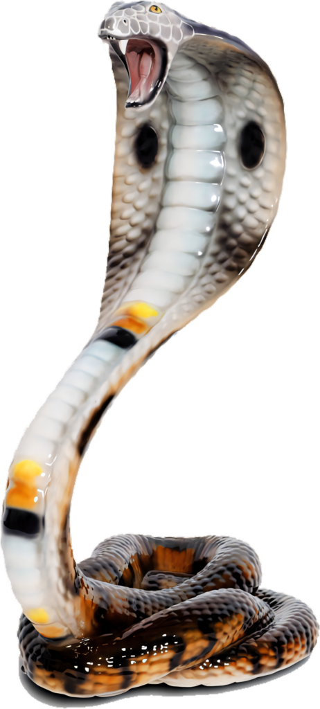 Hooded Cobra Threat Display Wallpaper: Stunning Detail & Power