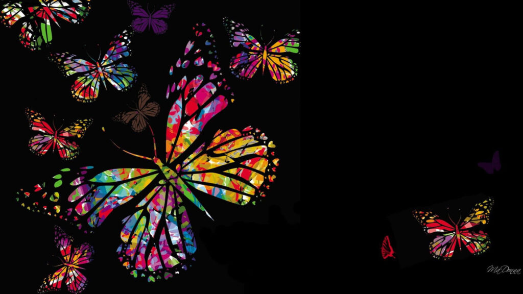 Stunning Colorful Butterfly Wallpaper on Black Background