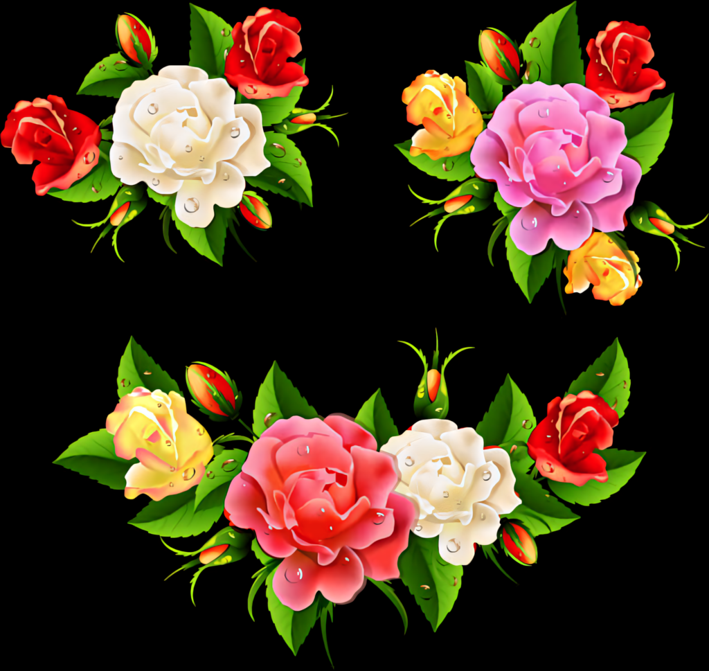 Colorful Rose Vector PNG Wallpaper on Dark Background