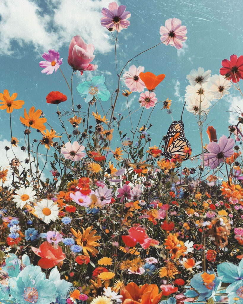 Vibrant Wildflower iPhone Wallpaper: Colorful Blooms & Butterfly