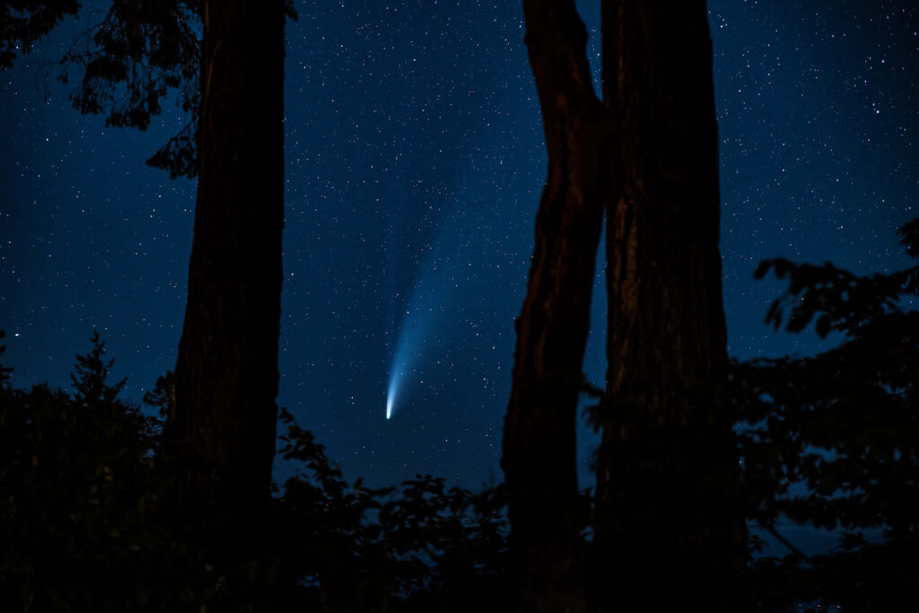 Stunning Comet Wallpaper: Starry Night Sky with Tree Silhouettes