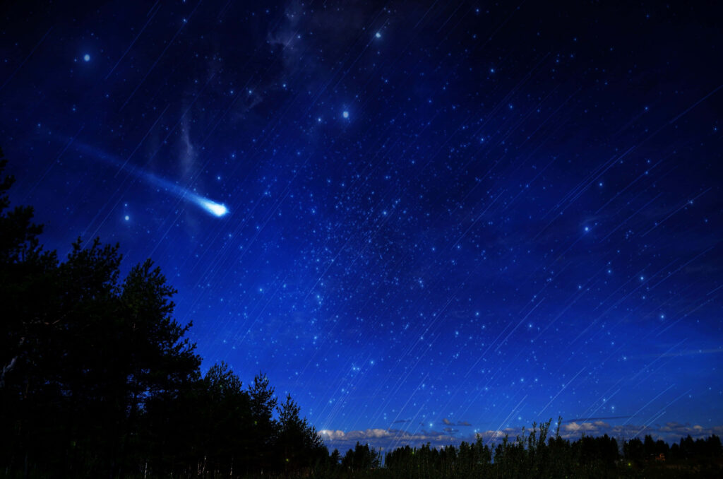 Stunning Comet Wallpaper: Starry Night Sky with Tree Silhouettes