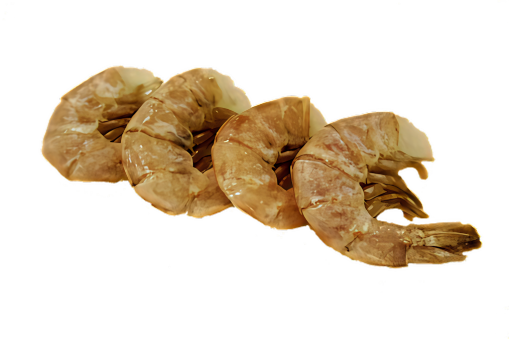 Stylish Shrimp Wallpaper: High-Quality Image on Black Background