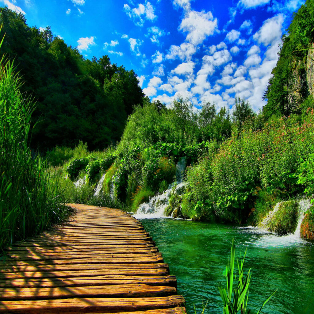 Stunning Croatia Nature Wallpaper: Pathway by Turquoise Stream