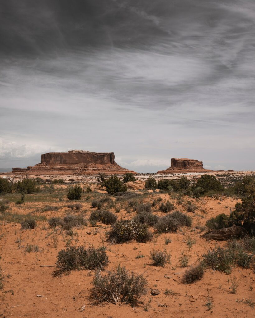 Desert landscape wallpaper with sandy terrain bushes rugged plateaus mountains under moody sky