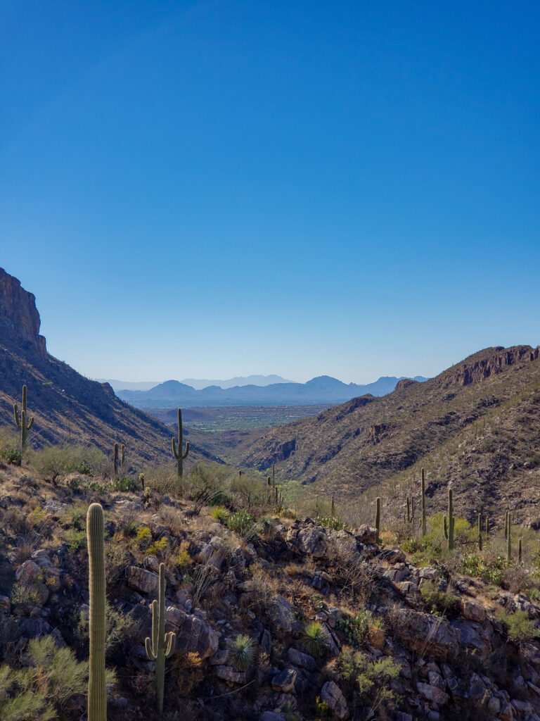 Desert landscape wallpaper with rugged rocks cacti and distant mountains under clear blue sky