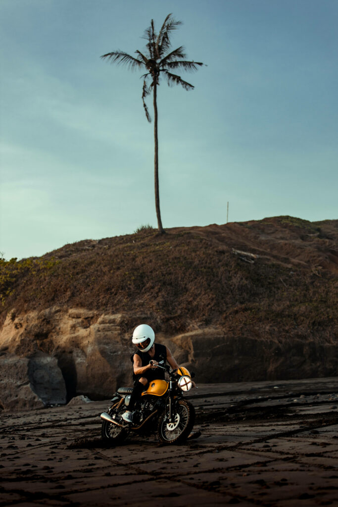 Dirt Bike Adventure Wallpaper: Rider on Sandy Terrain & Palm Tree