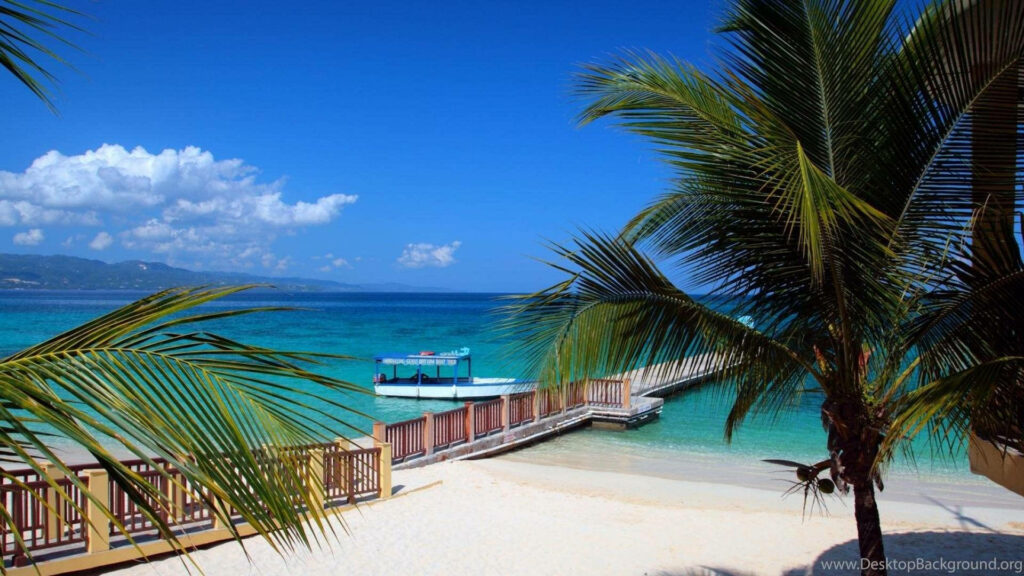 Vibrant Doctor's Cave Beach Wallpaper: Turquoise Waters & Palm Trees