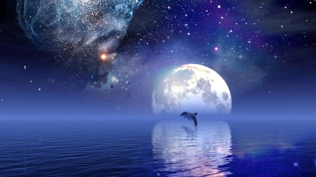 Stunning Dolphin Wallpaper: Serene Ocean & Full Moon Night Sky