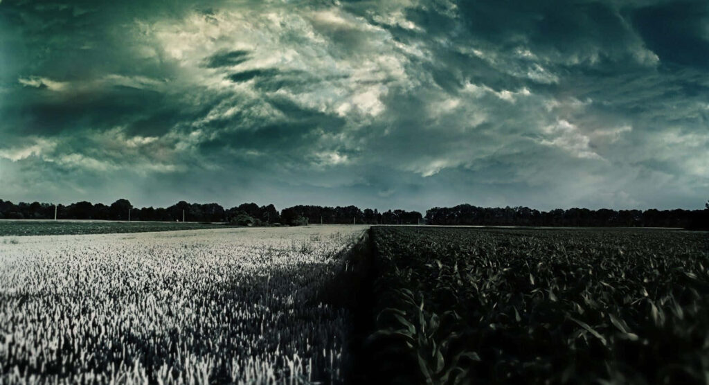 Dramatic Landscape Wallpaper: Lush Fields & Frost-Kissed Contrast