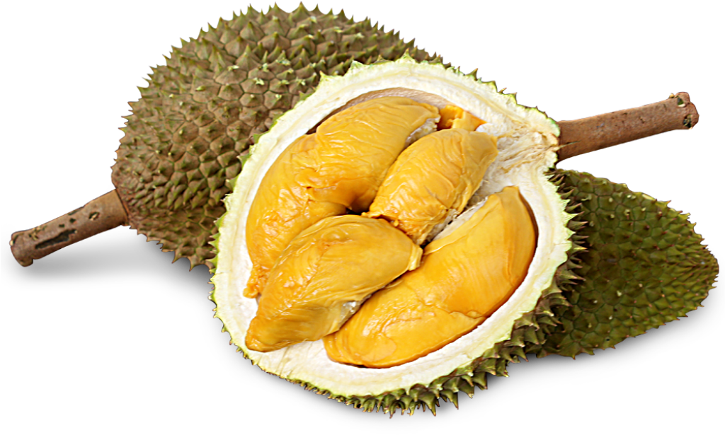 Fresh Durian Fruit Wallpaper: Spiky Shell & Golden Flesh Delight