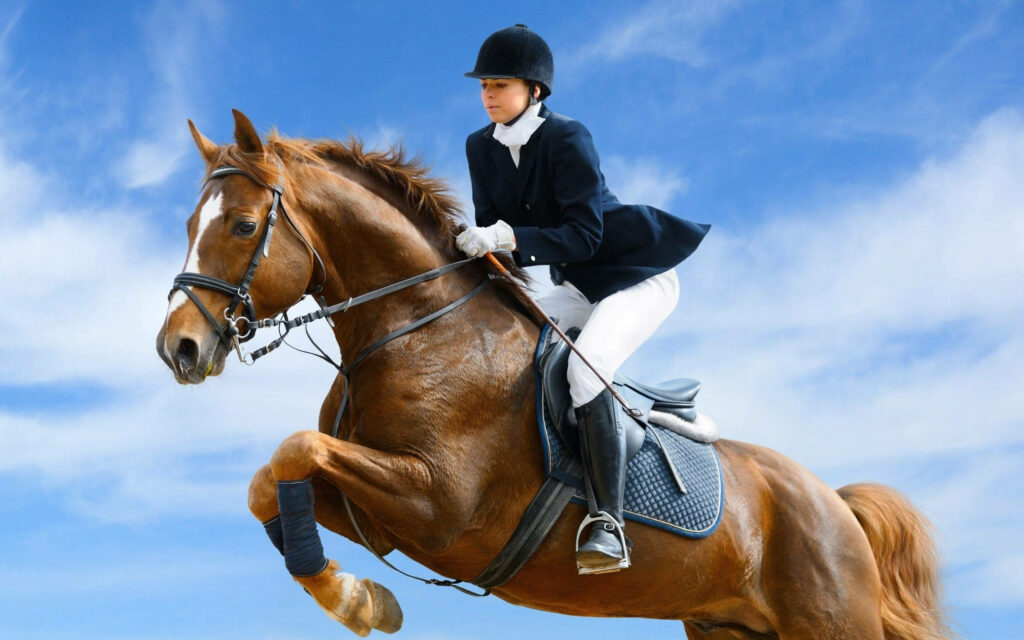 Dynamic Equestrian Wallpaper: Woman Riding Horse Mid-Jump