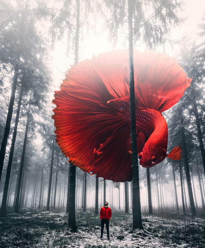 Enchanting Fantasy Wallpaper: Oversized Red Fish in Mystical Forest
