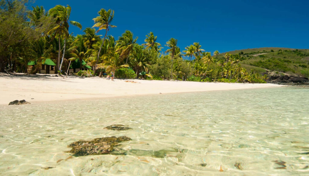 Stunning Fijian Beachfront: Turquoise Waters & Palm Paradise Scene Wallpaper