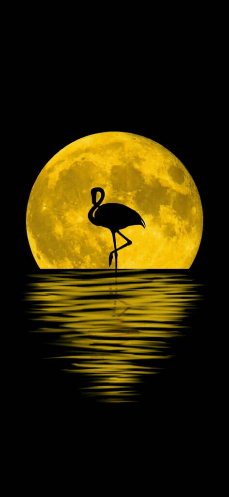 Graceful Flamingo Silhouette Wallpaper Against Glowing Full Moon