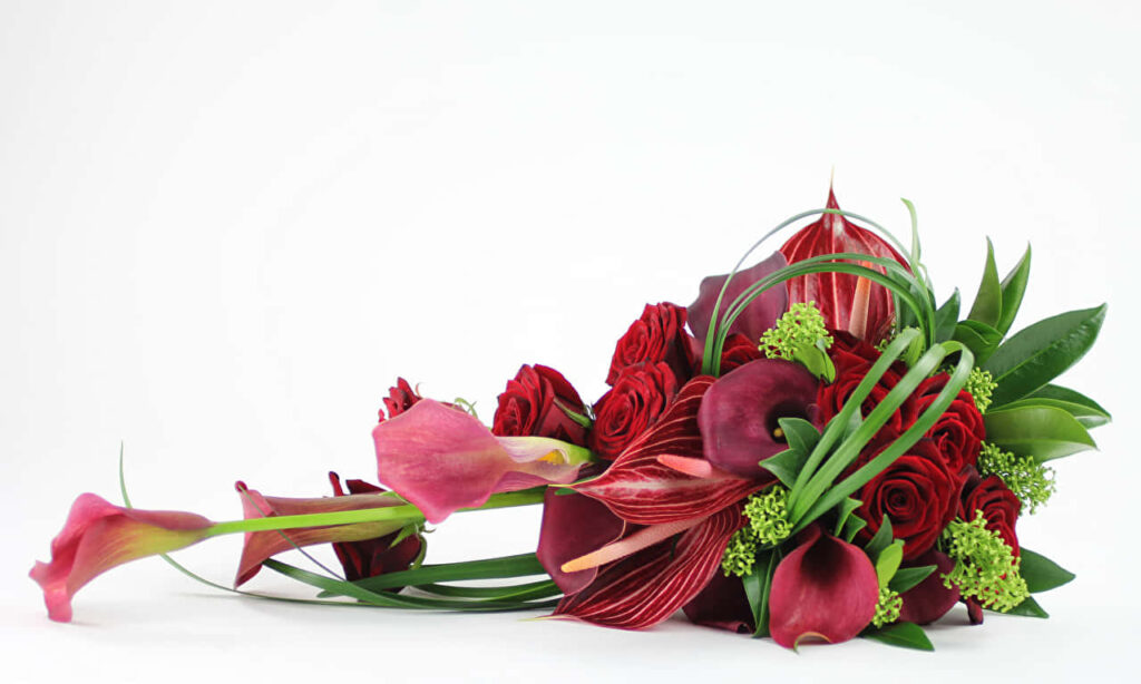 Stunning Floral Wallpaper: Deep Red Roses & Elegant Plants Background