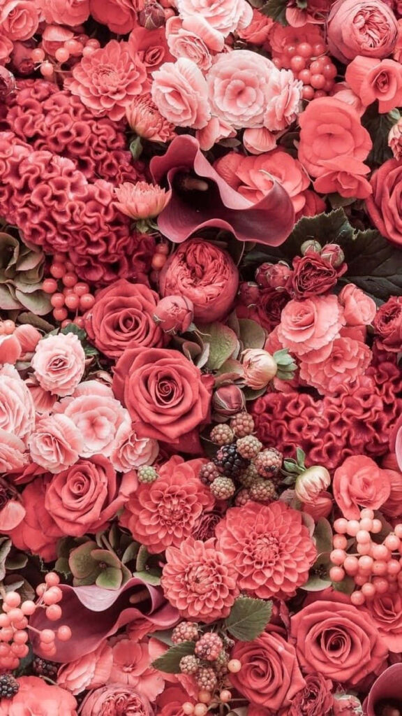 Vibrant Floral Wallpaper: Red & Pink Roses, Dahlias & Berries