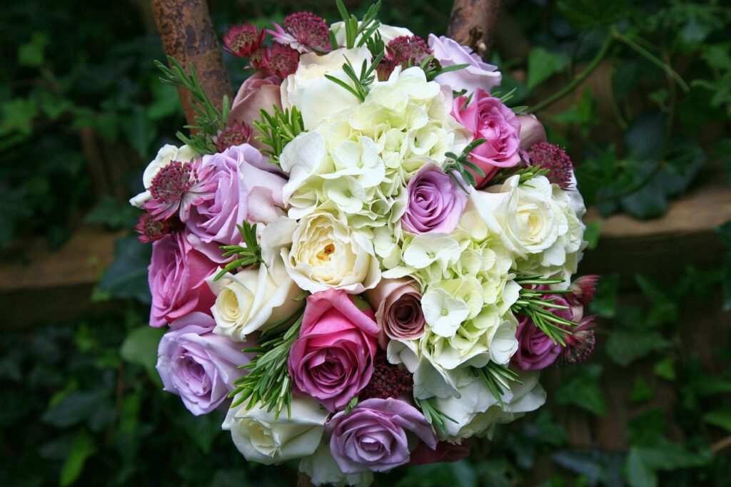 Stunning Floral Wallpaper: Vibrant Roses, Hydrangeas & Astrantias