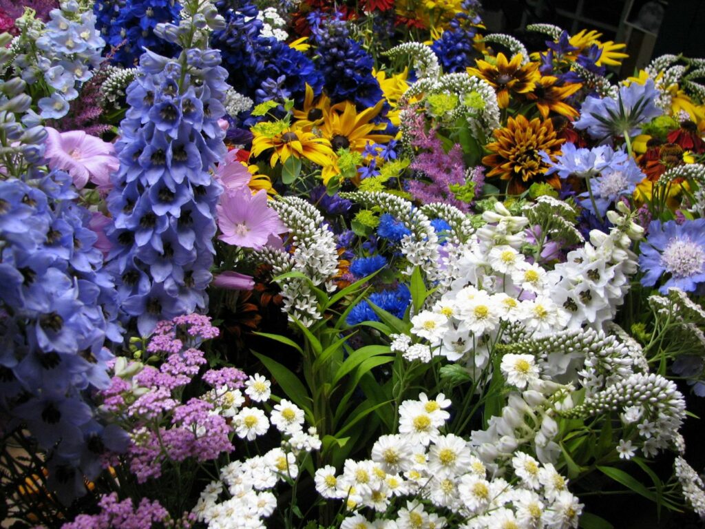 Vibrant Flowerbed Wallpaper: Colorful Blossoms in Stunning Garden