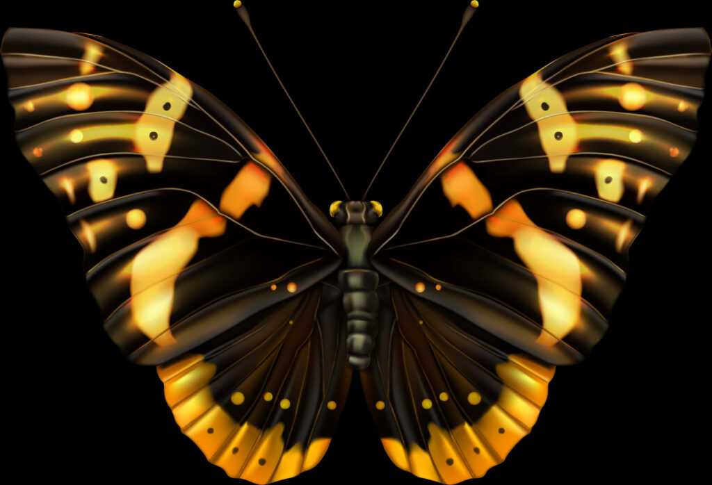 Vibrant Orange & Yellow Glowing Butterfly Wallpaper Illustration