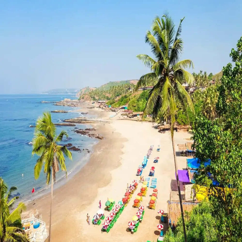 Goa Beach Paradise: Golden Sands, Palm Trees & Clear Blue Waters Wallpaper