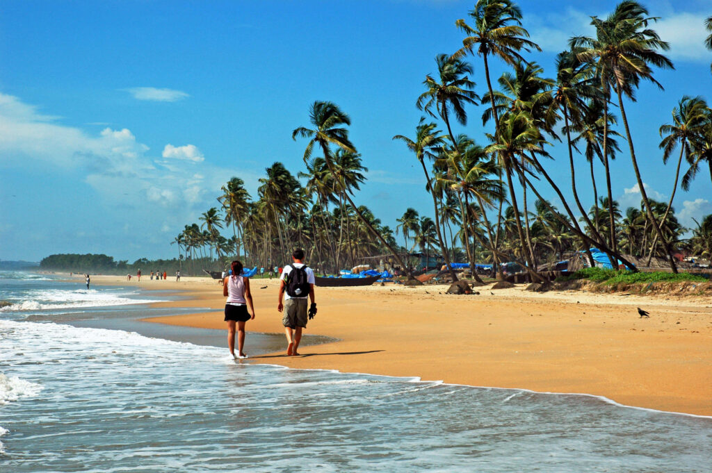Tranquil Sandy Beach in Goa: Lush Palm Trees & Clear Blue Sky Wallpaper