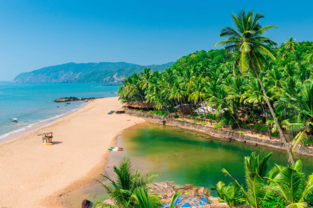 Goa Beach Beauty: Golden Sands, Palm Trees & Crystal-Clear Waters Wallpaper