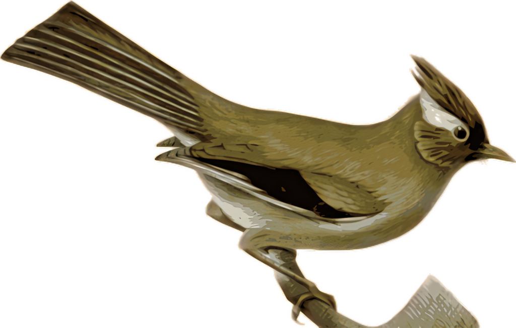 Golden Brown Bird Illustration - Nature-Themed Wallpaper Background