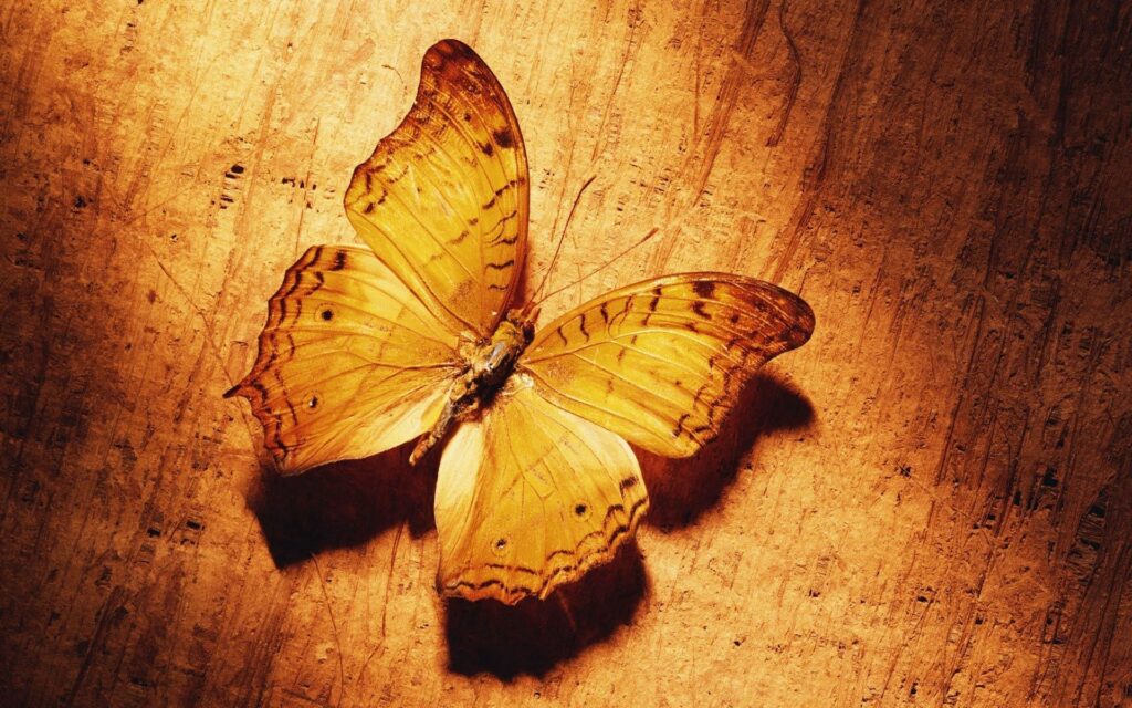 Golden Butterfly Wallpaper: Intricate Patterns & Warm Light Background