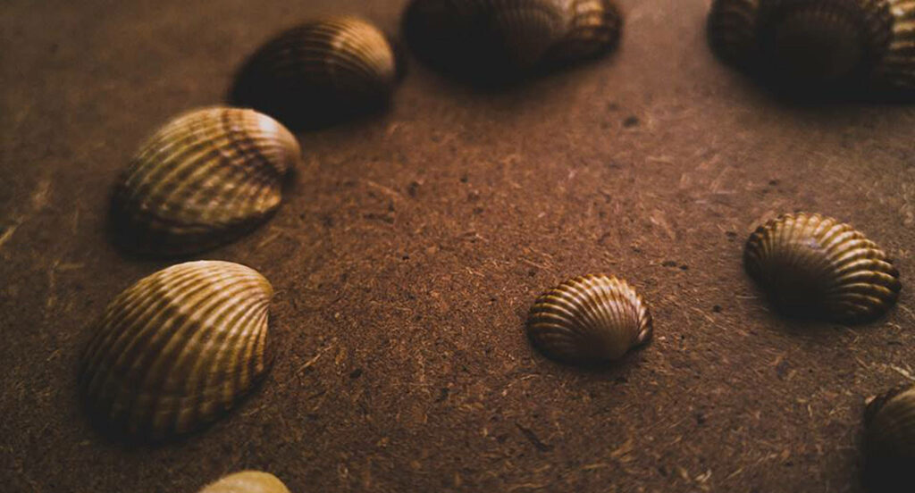 Golden Clams Wallpaper: Aesthetic Gold and Earthy Texture Background