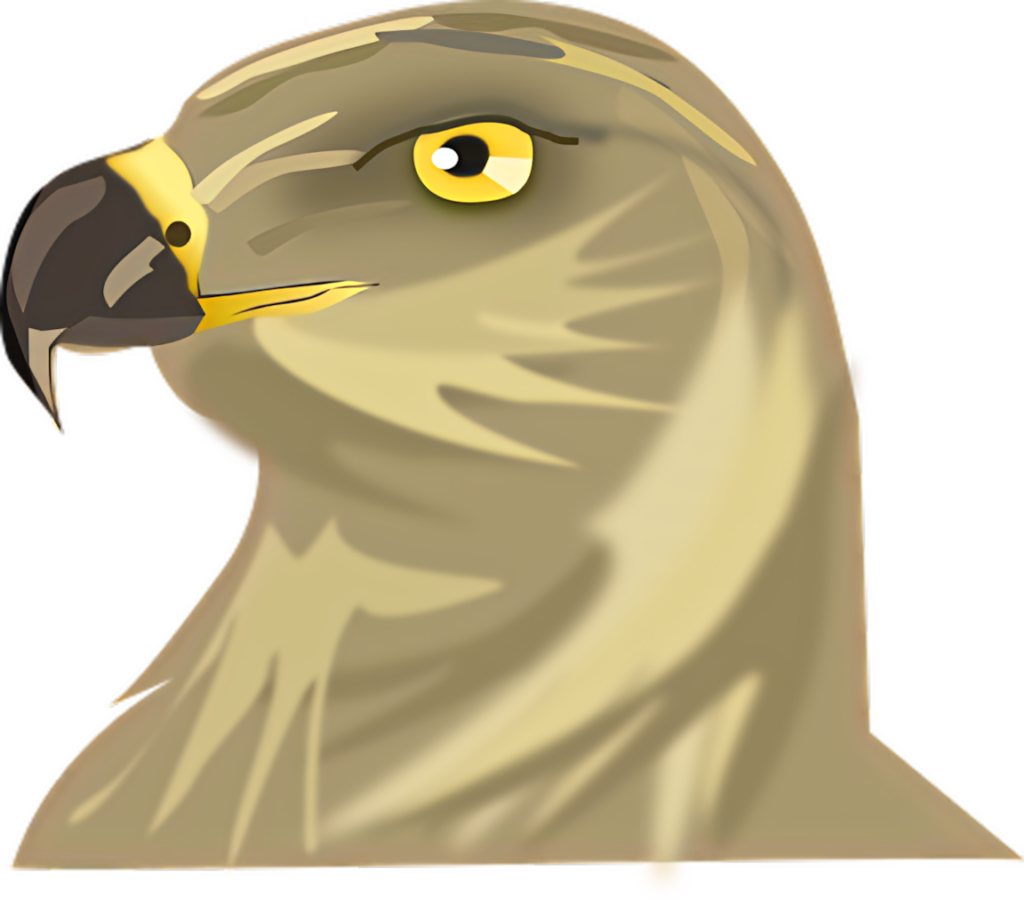 Stunning Golden Eagle Portrait Wallpaper - PNG Background Art