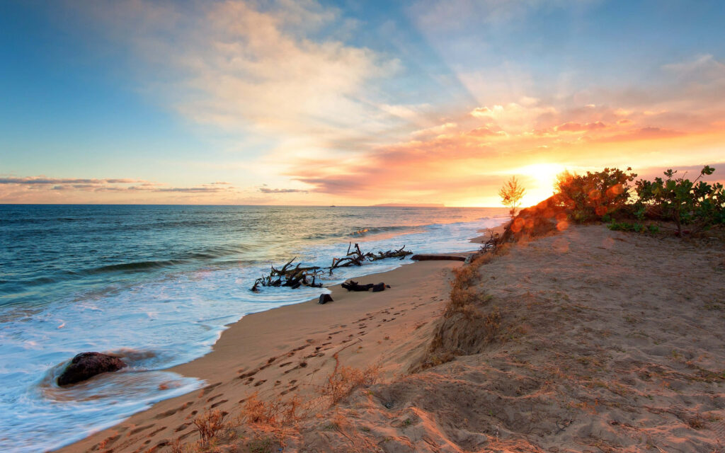 Golden Sunset Beach Wallpaper: Vibrant Ocean View Background