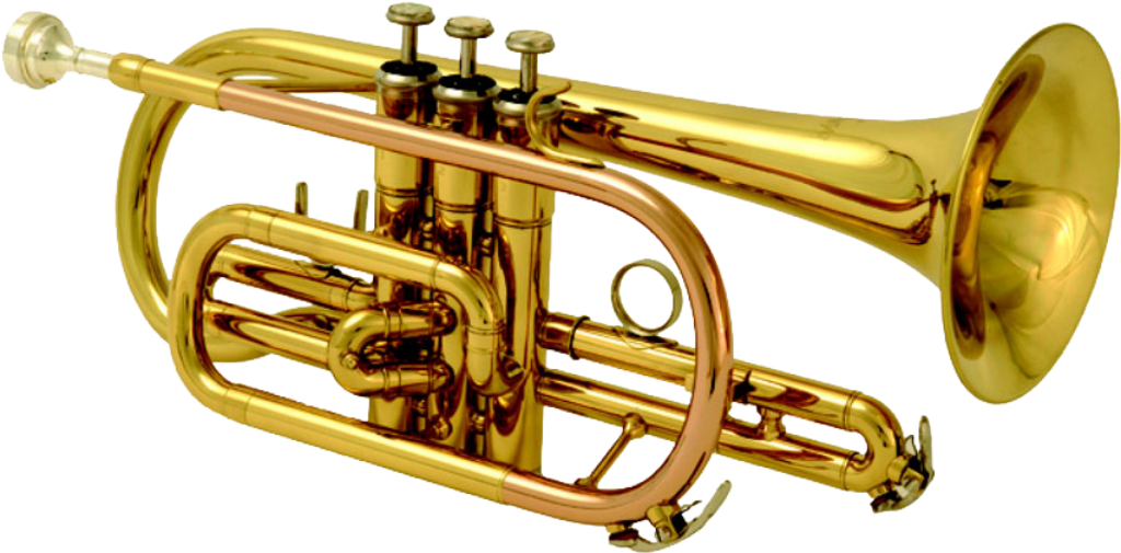 Stunning Golden Trumpet Wallpaper Background with Brass Details