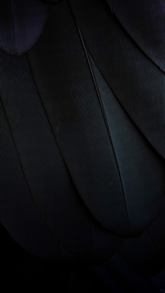 Macro shot of overlapping black feathers texture wallpaper for Google Pixel dark aesthetic background