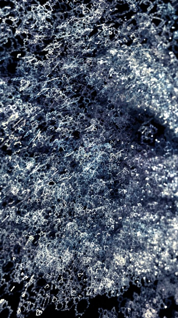 Captivating Gray Fractal Wallpaper - Intricate Foam Design Background