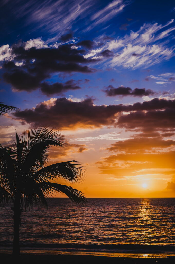 Serene Sunset Beach HD Wallpaper with Silhouetted Palm Tree