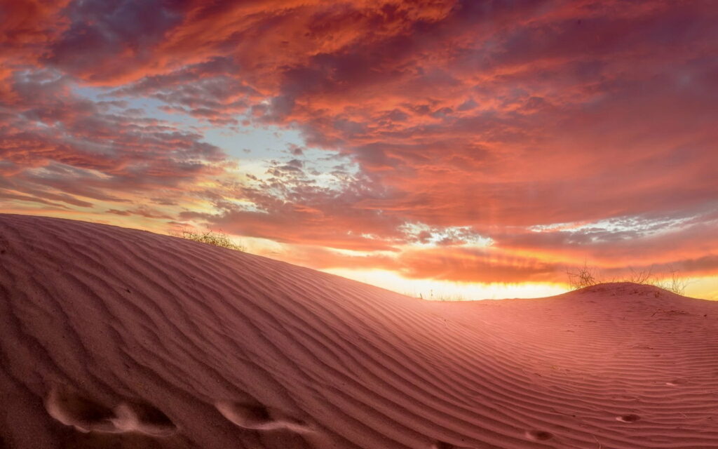Stunning Desert Sunset HD Wallpaper with Vibrant Horizon
