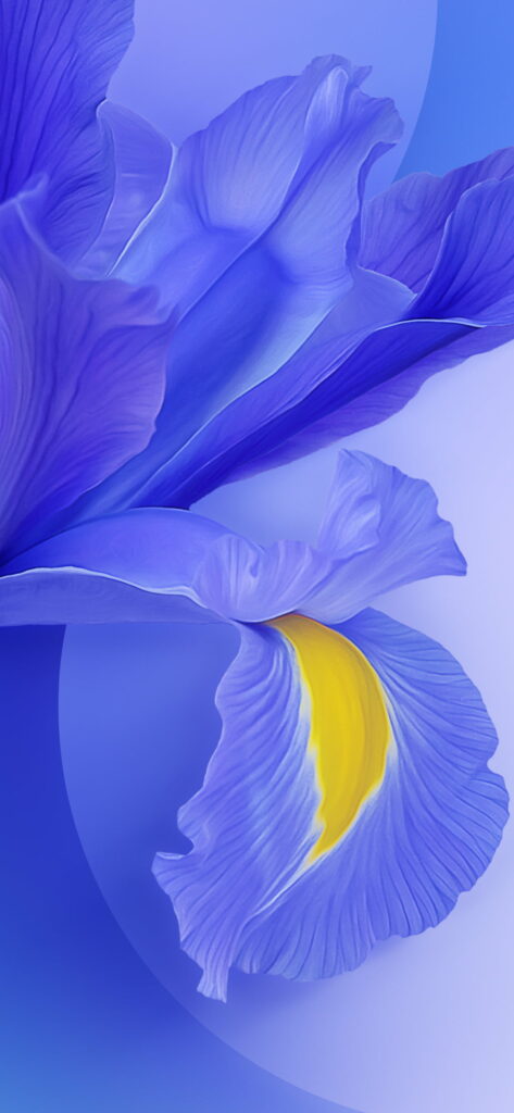 Vibrant blue iris flower wallpaper with yellow center digital art HD floral Xiaomi Mi 9 background