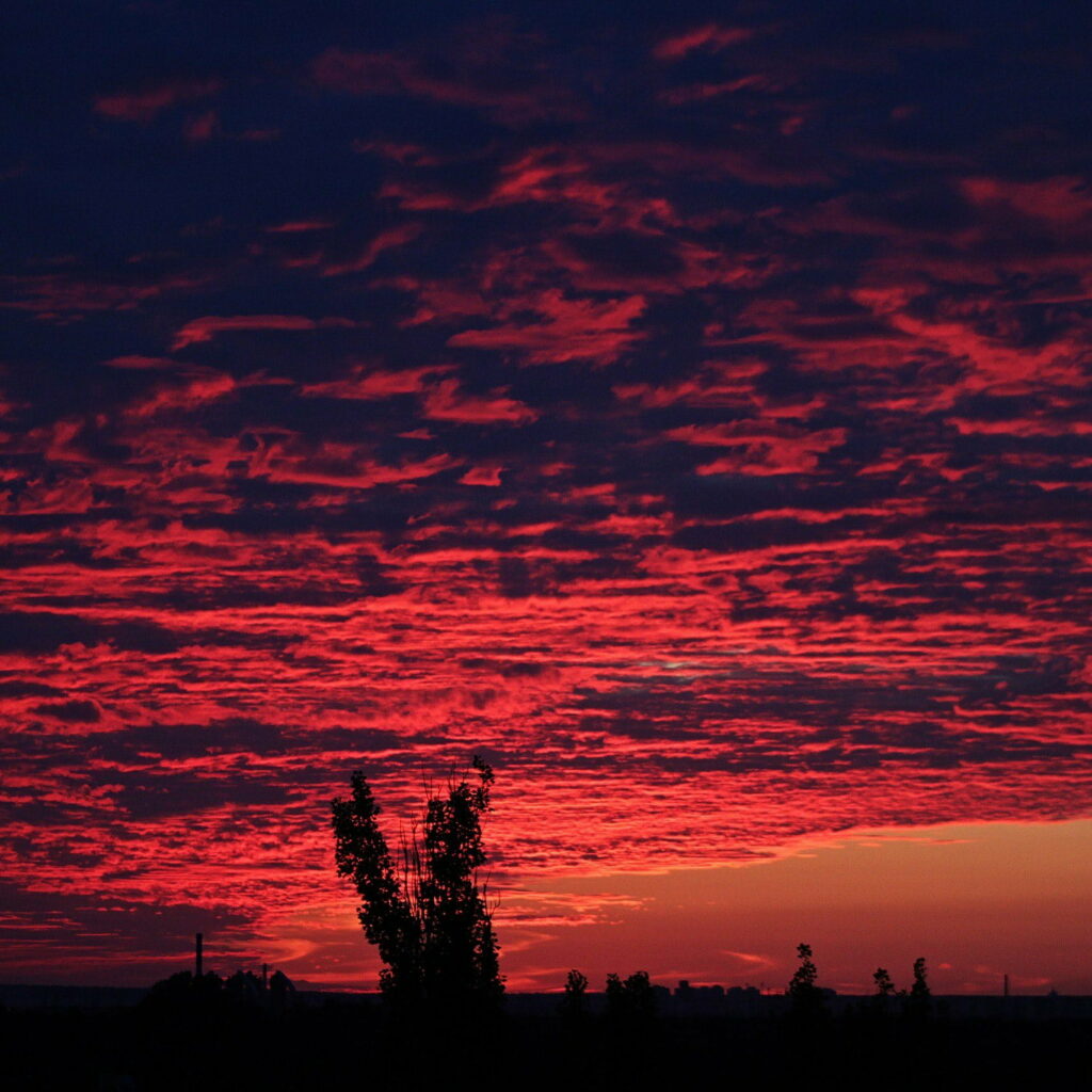 Stunning HD Wallpaper: Red Sky Sunrise with Silhouetted Trees
