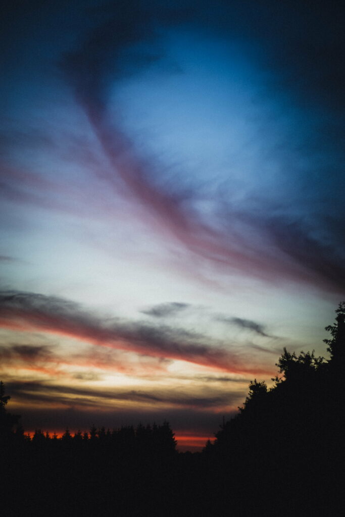 Vibrant Sunset Sky HD Wallpaper with Silhouetted Trees Background