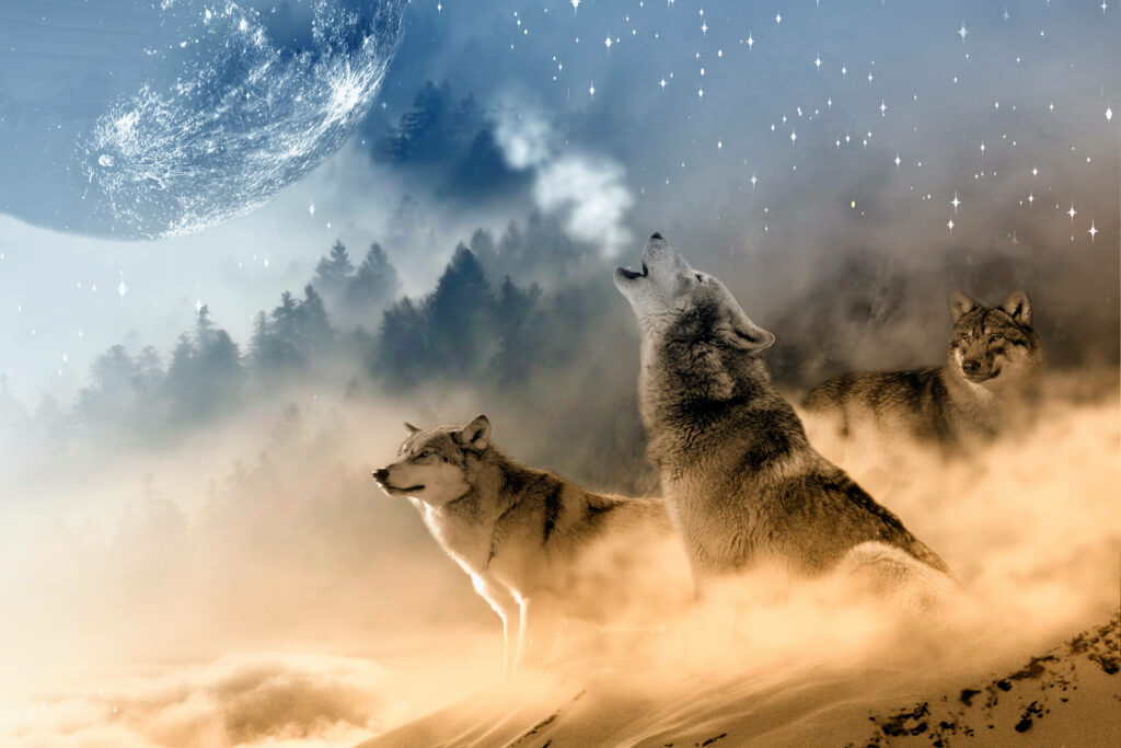 Wolves Howling Under Stars - Colorful Fantasy HD Wallpaper