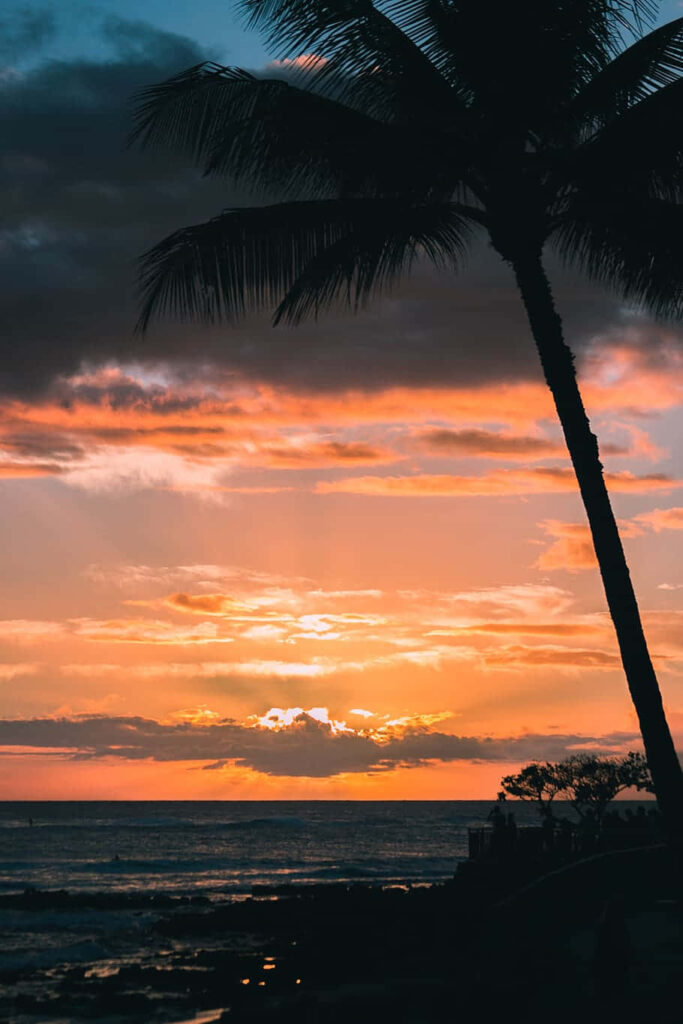 Vibrant Hawaiian Sunset Wallpaper with Silhouetted Palm Tree