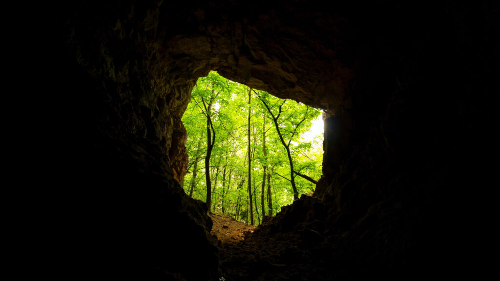 Serene Cave View Wallpaper: Lush Greenery & Sunlight Escape