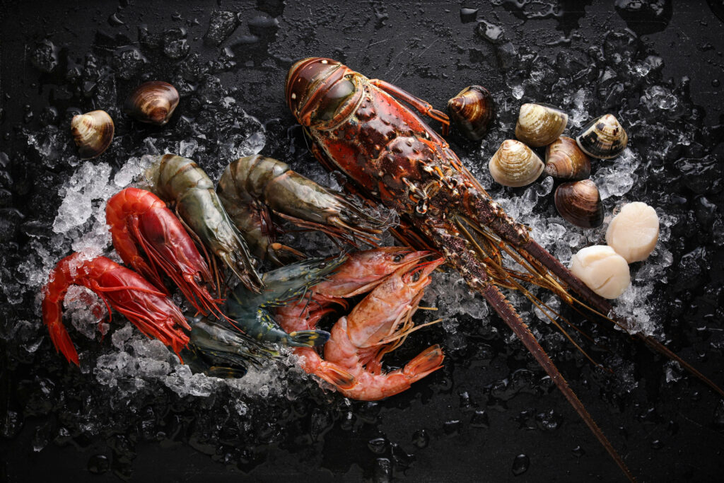 Stunning Seafood Wallpaper: High-Res Birds-Eye View on Ice