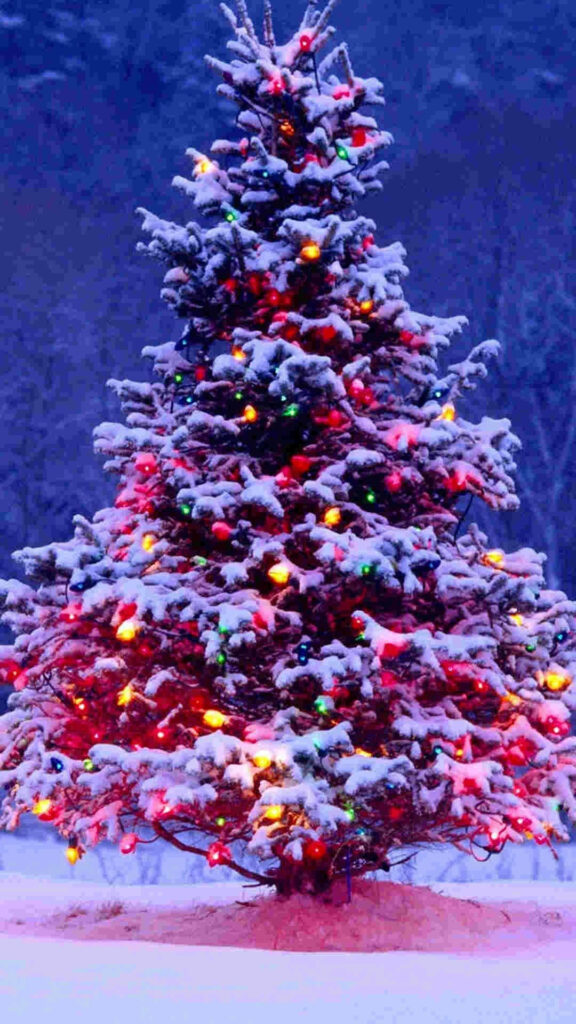 Festive Pine Tree Wallpaper with Colorful Christmas Lights & Snow