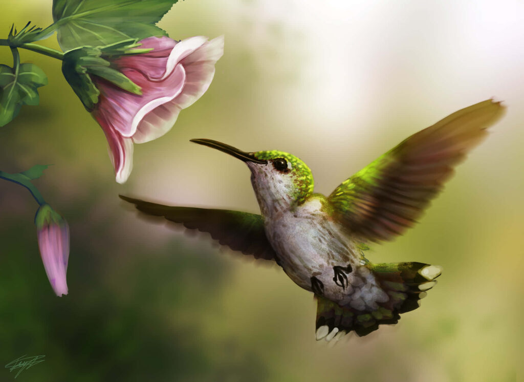 Serene Hummingbird at Sunrise Near Blooming Flower Wallpaper